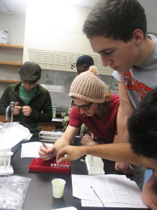 Building for Biology
