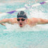 Senior David Peck in the middle of a butterfly stroke during a meet.