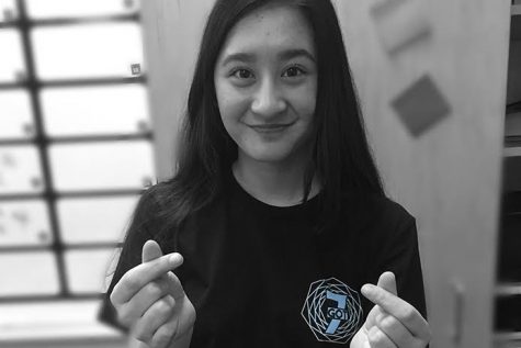 Hallyu grows internationally