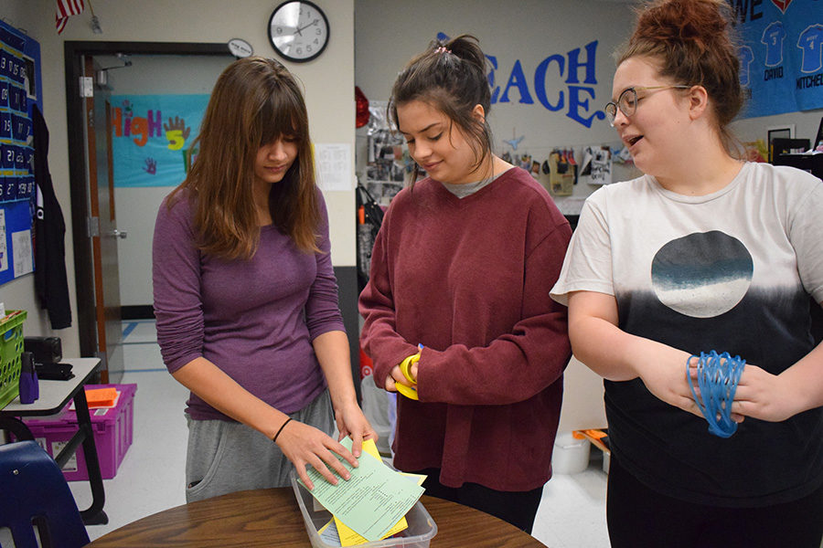 Seniors Jasmine Gilroy, Julia Molino and Sam Fuller perform inventory on their Calming Box in the Science ASC. Performing inventory is the most boring part of this project, but nonetheless we love each step that gets us closer to having a Calming Box in every classroom, Molino said. 