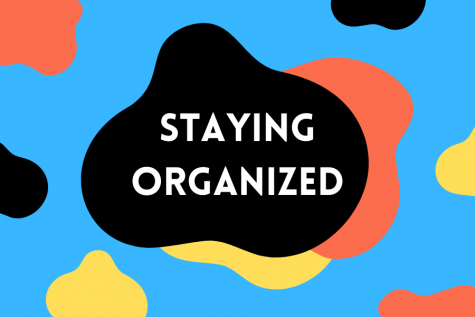 What follows is my method of organization, with the obvious disclaimer that you should use whatever system works best for you.