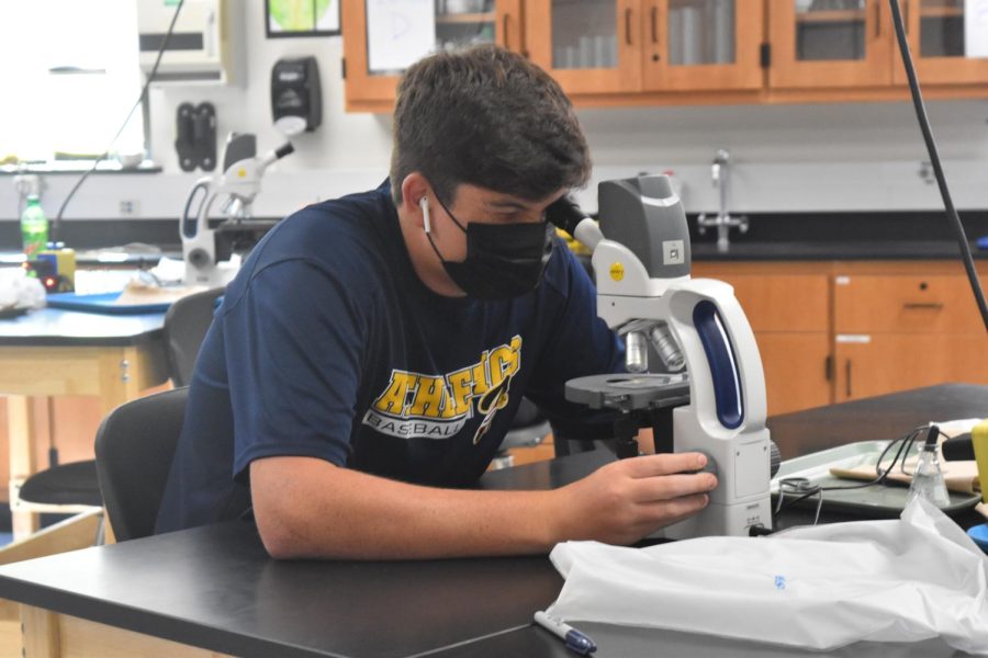 Focusing+in%2C+sophomore+Brian+Wright+looks+through+the+eyepiece+of+his+microscope+to+observe+a+species+of+microorganisms.+During+Biology+lab%2C+Wright+used+a+microscope+to+study+the+structure+of+a+fungal+cell+and+its+similarities+with+plant+cells+which+provides+hints+to+evolution.+%E2%80%9DIt+was+amazing+making+connections+about+how+we+may+have+evolved+from+tiny+single-cell+organisms%2C%E2%80%9D+Wright+said.+%E2%80%9CI+found+microscopes+interesting+because+you+can+observe+things+that+you+can%E2%80%99t+regularly+see%2C+and+dive+into+the+depths+of+our+nature.%E2%80%9D