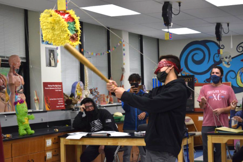 Hitting the taco, senior Christian Frank hits a pinata in Human Anatomy and Physiology teacher Charlie Cutelli’s class to celebrate Dia de Los Muertos. After noticing pinatas on his desk, students of Cutelli’s decided to bring in candy and have a pinata fiesta during class. “We studied for a little bit and we did this for the rest of class. It was nice to relax since we have a test next Friday,” Frank said.