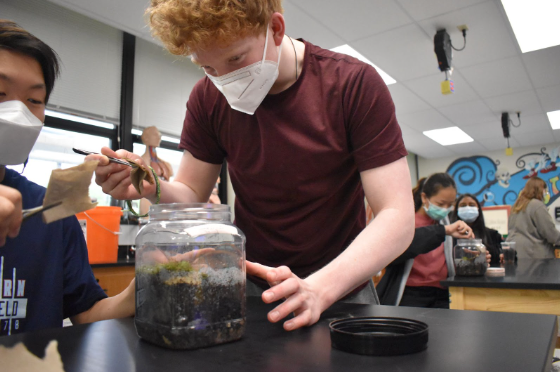 Working on a terrarium, sophomore Joe Cunningham studies ecology in Honors Biology 2 class. The students constructed the terrariums the class period before but spent the hour cleaning them before they sealed it. “I loved how [Mr. Cutelli] created engaging activities so we could learn the content without getting bored. Worksheets have a place in the classroom, but lessons that involve only worksheets tend to lead to less participation from the class,” Cunningham said.