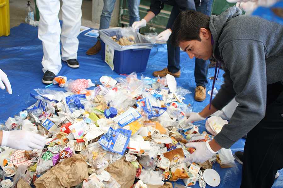 Junior Milan Malhotra sorts through the trash that had been thrown in the recycling bin.