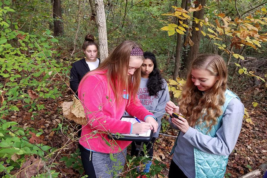 Parkway West SPARK! students senior Suma Gondi and junior Jane Fuller participate in turtle tracking in Forest Park for the Biosciences strand with students from Parkway South. We used this radar thing to find the location of a turtle and we observed its habitat, Gondi said.