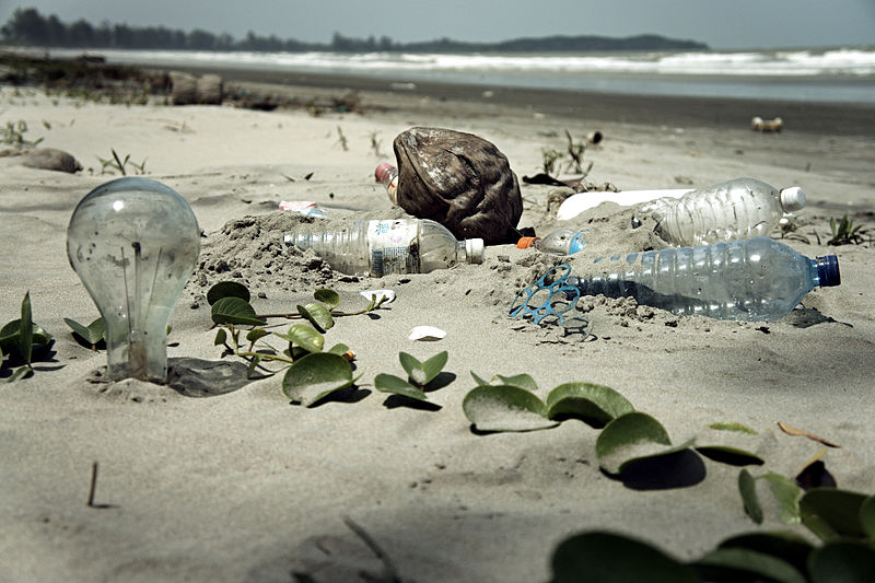 Plastic and glass waste from humans pose threats to marine life if left on beaches.