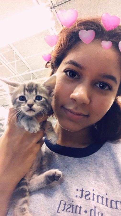Using the standard heart Snapchat filter, kitten Katrina smiles with junior Megan Roberts. Another student in class adopted Katrina and renamed her Luna.