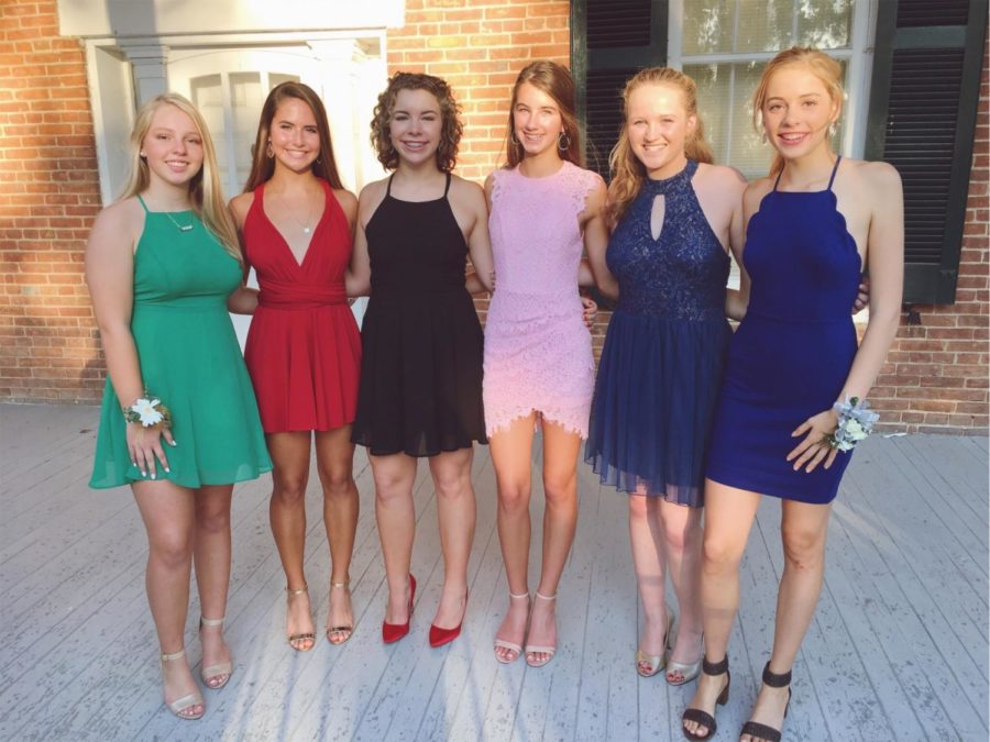 Smiling+for+the+camera%2C+sophomores+Emily+Weaver%2C+Charlotte+Zera%2C+Olivia+Meara%2C+Emily+Lofgren%2C+Kristen+Boyd+and+Susie+Seidel+pose+for+homecoming+pictures.+Five+of+the+six+girls+purchased+dresses+online+for+the+event.+I+like+buying+dresses+online+because+there+is+a+better+selection+and+it+is+easier+than+going+to+the+store+and+trying+on+millions%2C+Zera+said.