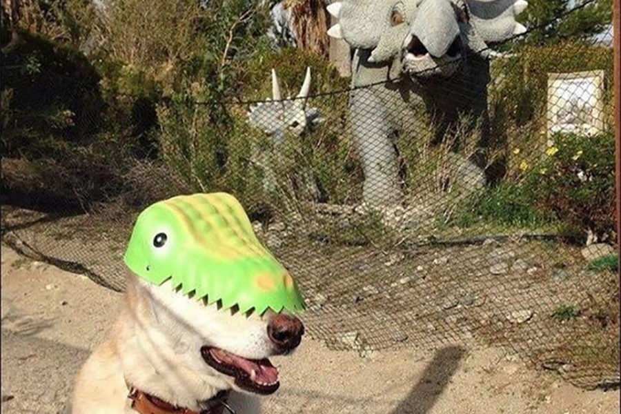 This internet meme, dubbed “Dog wearing a mask at dino park” (c. 2017) came as a new exhibit to the Parkway West cafeteria earlier this year. While some find this meme–and most any meme–humorous, some artists become irked with other artists who do not pour effort into their craft. “You get some people who just screenshot instagram posts without cropping them, and that’s just annoying. Then a majority of memes are actually just really bad and not funny,” sophomore Quinn Davies said.