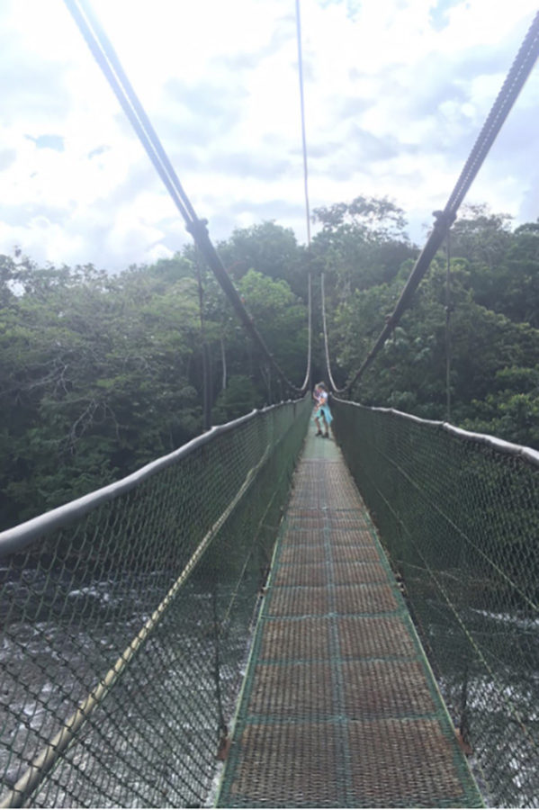 Students cross a suspension bridge.