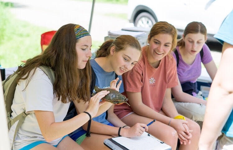 Working with a team of volunteers, junior Zoey Womick prepares to weigh and measure a painted turtle. Womick participated in an investigatory trip on painted turtles with other teens from St. Louis, all members of the Zoo ALIVE program. “I learned so much on the trip, but the coolest thing I learned is that the sex of a baby turtle is determined by the temperature at which the eggs are incubated,” Womick said. 