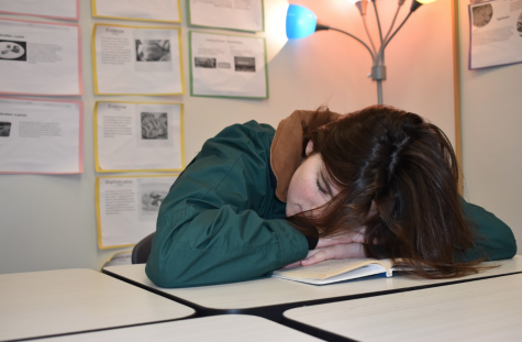 A student accidentally falls asleep on her book in class. She got two hours of sleep the previous night. “I always fall asleep in my classes and miss out on information, so then I have to stay up the next night trying to figure out how to do the homework,” she said. “This cycle makes everything so hard, but I refuse to sleep at night because hashtag sleep is for the weak.”