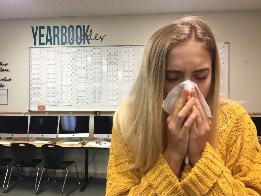 Clearing her nasal passages, sickly senior Susie Seidel expels mucus in hopes of relieving her symptoms. Seidel is currently suffering from the ongoing plague, suspected to be Senioritis, impacting the senior class. “I had a quiz this morning so I came to school thinking I could muster enough strength to make it through the day,” Seidel said. “After I finished my quiz, I realized I was no match for the deadly disease and quickly left school so I wouldn’t infect others. I guess you could say I was caring, I removed myself from school to ensure the safety of others."