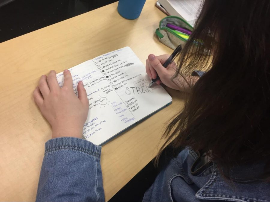 A student reviews her planner and deals with impending stress. 