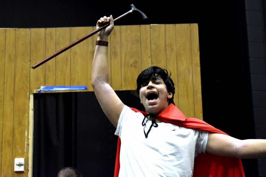 Singing his character titular song I am Aldolpho, senior Zane Alshekhlee, plays the self-proclaimed ladies man Aldolpho in the musical The Drowsy Chaperone. To play Aldolpho, Alsheklee had to speak with an exaggerated Spanish accent. I think my favorite part would be my character song, Alshekhlee said. Its so much fun to play and sing and dance, Alsheklee said.