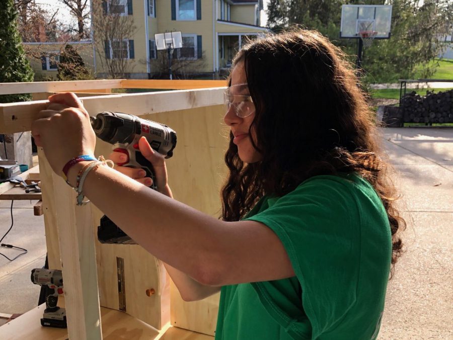 Junior Sara Albarcha constructs a shed for her pet bunnies. Working on the project has given Albarcha more time to be with her family. “I think its really fun to just be with my family, especially since my dad is always at work,” Albarcha said. “It makes me happy knowing that we can bond over doing that.”