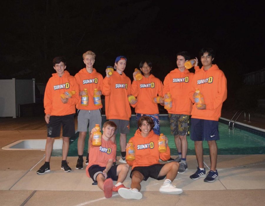 Modeling their SunnyD hoodies and T-shirt, sophomores Ethan Deulca, Chris Roy, Basil Metroulas, Patrick Chen, Chris Woodcock, Shiv Sharma, Jake Rushing and Jack Maniaci advertise a beloved childhood beverage. “[Sunny-D] is a very nostalgic drink for me. I remember going out to my fridge and getting a refreshing bottle of Sunny-D when I was little,” Rushing said. 