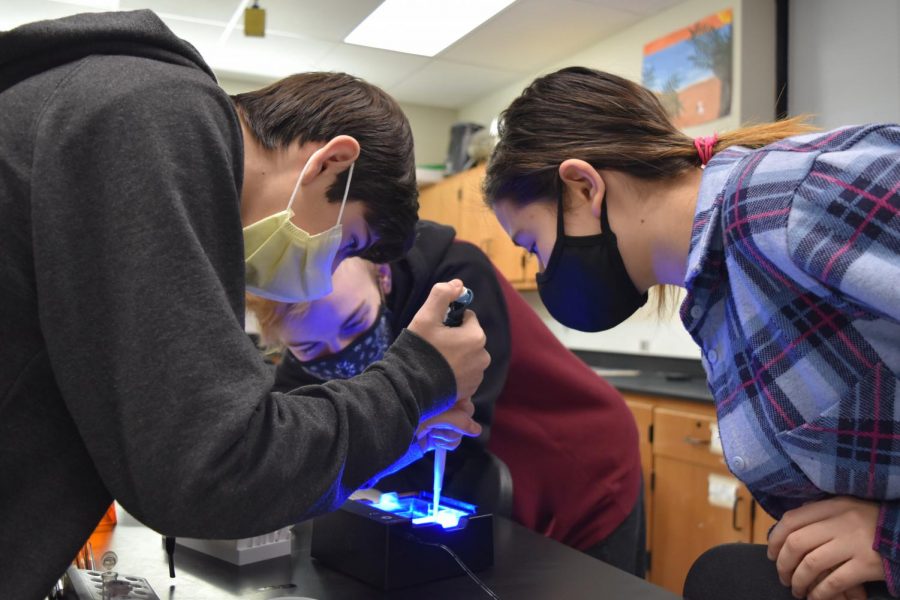 Learning about DNA charges, sophomores Lucas Escandon, Cami Levy and Ben Scott work together on a lab. 
The group, in their biology class, had to adhere to COVID-19 restrictions. Being in close proximity with my classmates felt a little weird with the masks and seeing people after nine months of at-home learning. It didnt really impact the lab all that much, it was just [us] trying not to touch everything, so other people could touch the tools, Escandon said. 