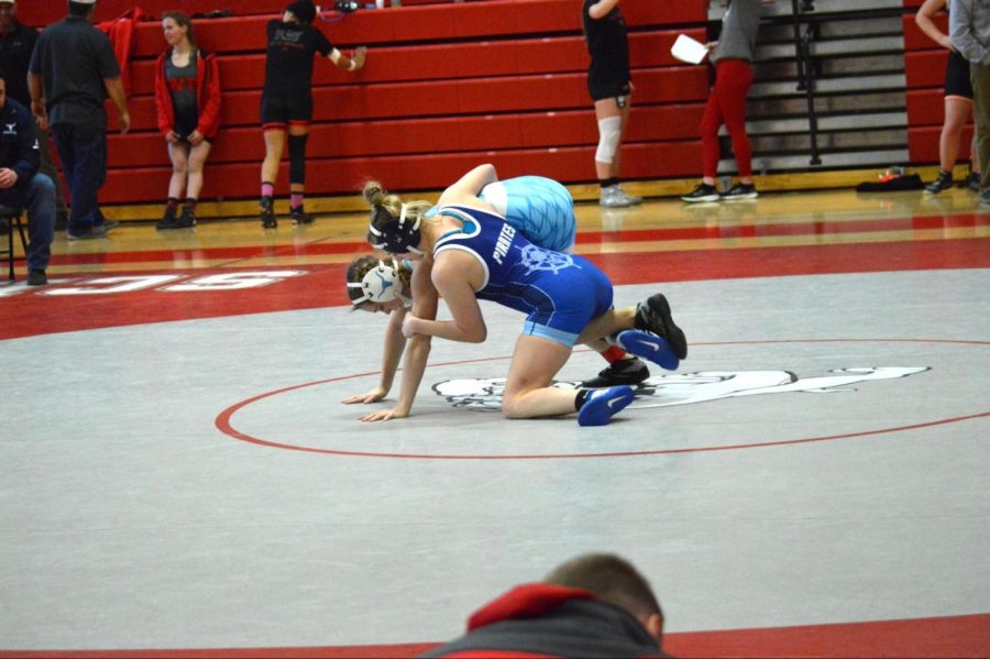 At the St. Clair girls tournament, sophomore Brooklyn Eddy 
takes on her opponent from St. Charles High School. Eddy joined wrestling 
for the first time more than halfway through the season and managed to obtain
three pins for beating her opponent. “Wrestling is different from everything you 
ever do in your life. When you’re on the mat, you have to leave everything 
there, and you have to fail to succeed,” Eddy said.
