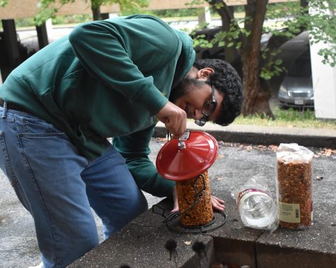 Assembling a bird feeder in the peace garden, junior Krish Bhagat sets up and writes a blog about his year-long project to create a songbird-friendly environment. A long-time lover of birds, Bhagat volunteered at the Wild Bird Rehabilitation Center and founded the Animal Appreciation Club. “I’ve written, read and taken photos of songbirds. I’d done just about everything short of doing something for the West community,” Bhagat said. “When I walked by the Peace Garden one day and saw all the songbirds flying around, I realized that I could do something that could actually make an impact.”