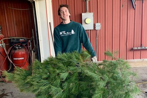 Senior Grant Meert prepares to throw a white pine Christmas tree through a netting machine. Of the many species of trees, Meert Tree Farm grows — including Scotch pine, Norway spruce, Virginia pine, Fraser fir and Michigan Scotch pine — Meert’s favorite is white pine. “Picking your tree gives people a good experience. It’s something that everyone needs to do at least once,” Meert said. “It gives customers a family memory and bonding time. I like having that time [with my family], and [we] make it a whole day.”