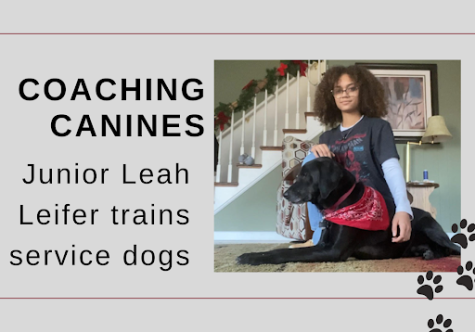 Junior Leah Leifer sits in her house with Hunter, the first service dog she trained. Leifer is passionate about the respect service dogs deserve. “Dont pet a dog you just see in a store. If its marked as a service dog, dont ask to pet it,” Leifer said. 
