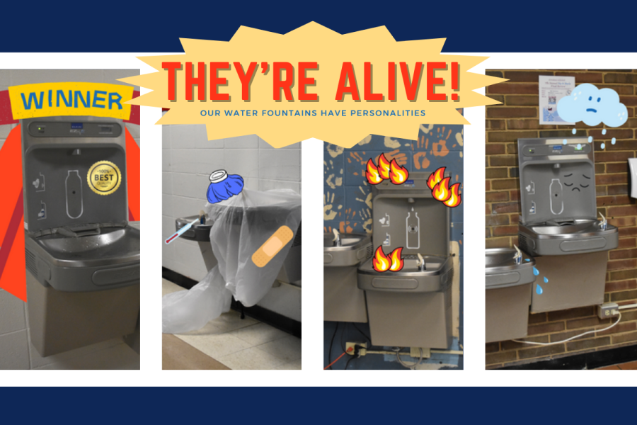 Our water fountains have personalities! Some are strong and used a lot; some seem sick and need replacement, while others are just very, very old. It’s almost like they have personalities . . . Well, what if they do?