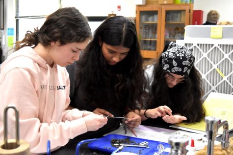 Freshman Evelyn Fitzpatrick and sophomores Risa Cidoni and Hanna Wentzel work together in Honors Biology 2 to dissect owl pellets. Due to the nature of this hands-on experiment, Cidoni found herself weary at first but was still interested in learning how to dissect the pellets. “You had to literally touch the pellet and do stuff with it, and it was not as bad as you would think it would be. I think the lab was supposed to teach that you don’t have to be scared of dissecting something,” Cidoni said. “This lab was fun. It seemed scary, but it wasn’t as bad [as I imagined]. It was more hands-on than other labs, and that made it more enjoyable.”