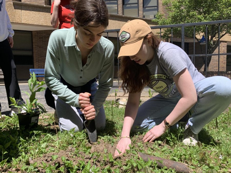 Juniors Sarah Reifschneider and Jojo Shank crouch down on a patch of soil in the Peace Garden. Shank uses her hands to dig into the soil and prepares to plant.