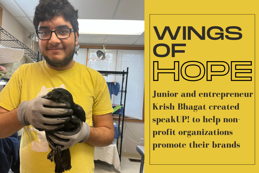 Junior+Krish+Bhagat+smiles+at+the+camera+as+he+carefully+holds+a+black+crow+in+his+gloved+hands.+He+had+earlier+saved+the+bird+and+taken+it+to+Wild+BIrd+Rehabilitation.