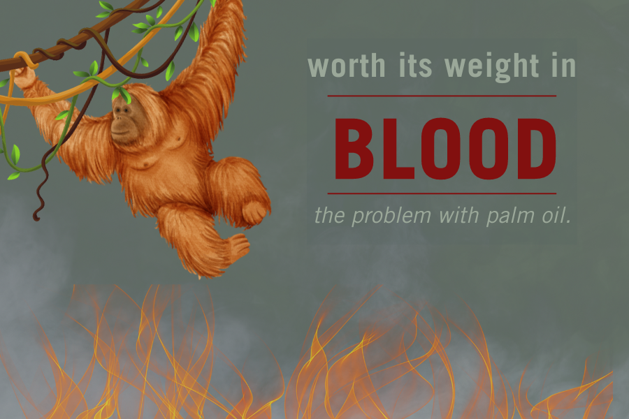 Worth its weight in blood: The problem with palm oil - Pathfinder