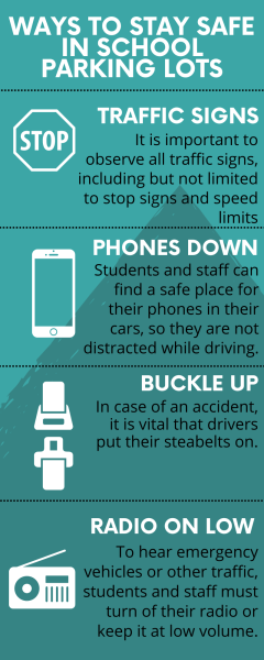 Infographic about driving safety. It has multiple easily enforcable tips.