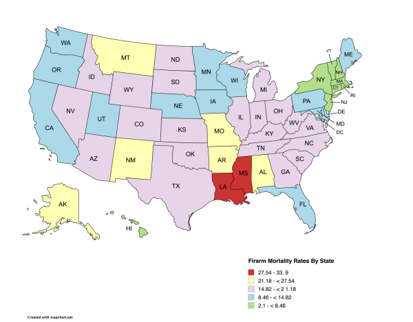 Firarm mortality by state infographic