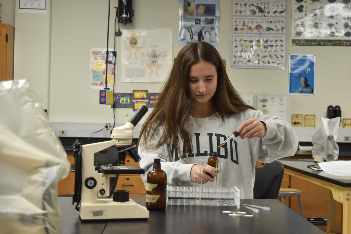 Experimenting with vials and test tubes on Oct. 1, Beta Chi Pi president and senior Nicole Paquette supports her passion for science in the classroom. After former Beta Chi Pi sponsor and science teacher Chloe Gallaher’s retirement, Paquette worked with science teacher Elegan Kramer during the summer to bring the science club back to West. “It’s a good way to keep you connected with science, and it’s a motivation to do science activities. Overall, it’s just a good group of people that are interested in science,” Paquette said.