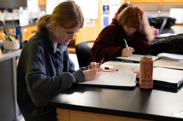 Focused in her science class, junior Max Hahn works on her project. Hahn, anticipating her start in the college application process, has mixed emotions. “I'm excited and nervous for college. I think the [process of applying] will be hard to balance with school, because it’s for the next [chapter] of my life, but that’s also what makes it exciting. This summer, I definitely plan to [start] looking into what colleges I’m interested in so I can set [myself up for success],” Hahn said.